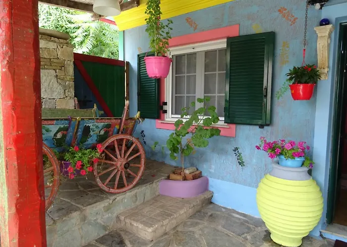 Nicola's Gaios
