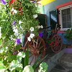 Nicola's Gaios