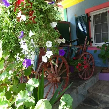 Nicola's Gaios
