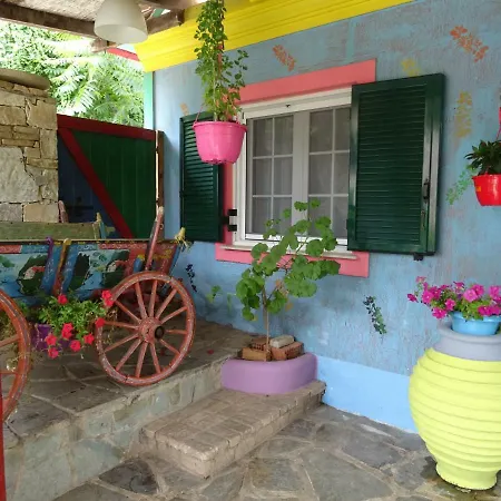 Nicola's Gaios